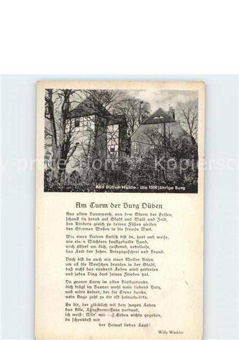 Bad Dueben Am Turm der Burg Dueben