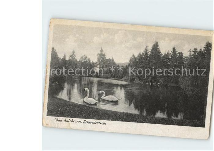 Bad Salzbrunn Szczawno-Zdroj Schwedenteich Schwaene