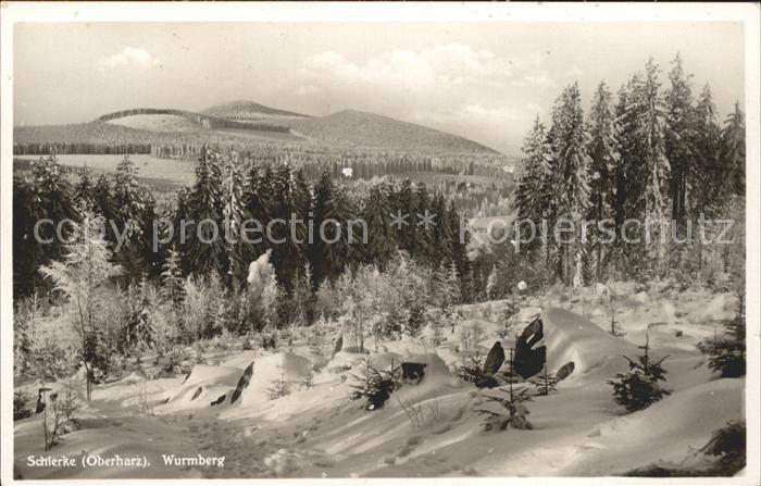 Schierke Harz Wurmberg Panorama