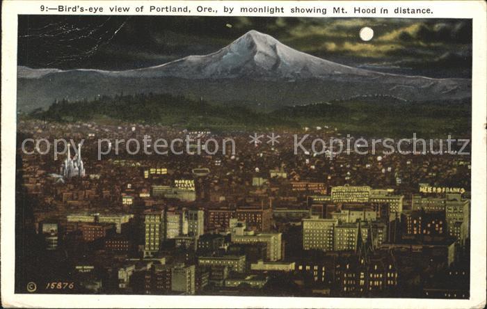 Portland Oregon Birds eye view by moonlight showing Mt Hood in distance