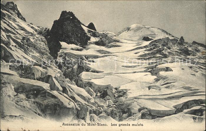 Mont Blanc Ascension du Mont Blanc Les grands mule