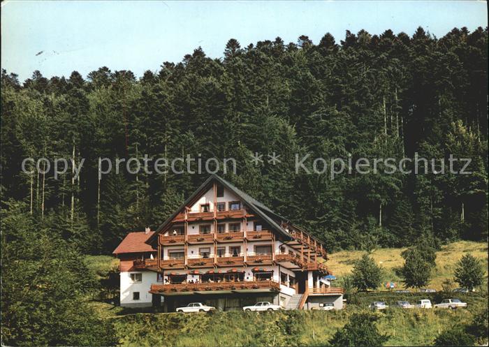 Bad Peterstal-Griesbach Waldhotel Palmspring