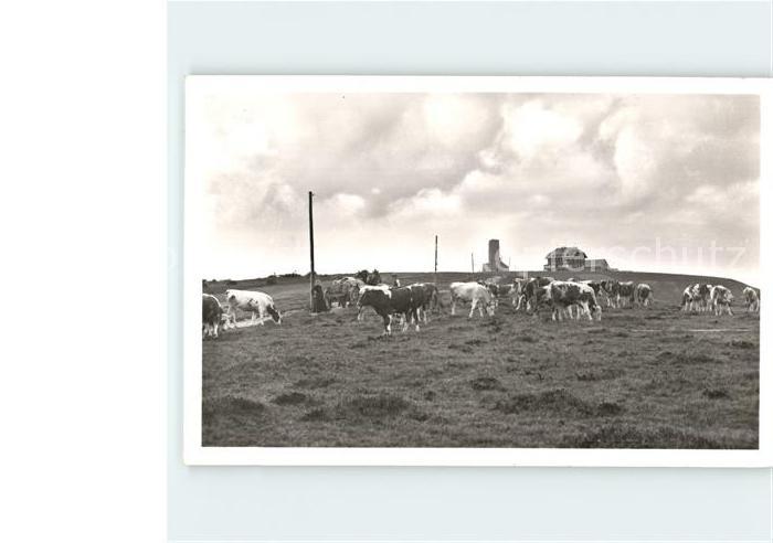 Feldberg Schwarzwald mit Feldbergturm und Feldberghaus Viehweide