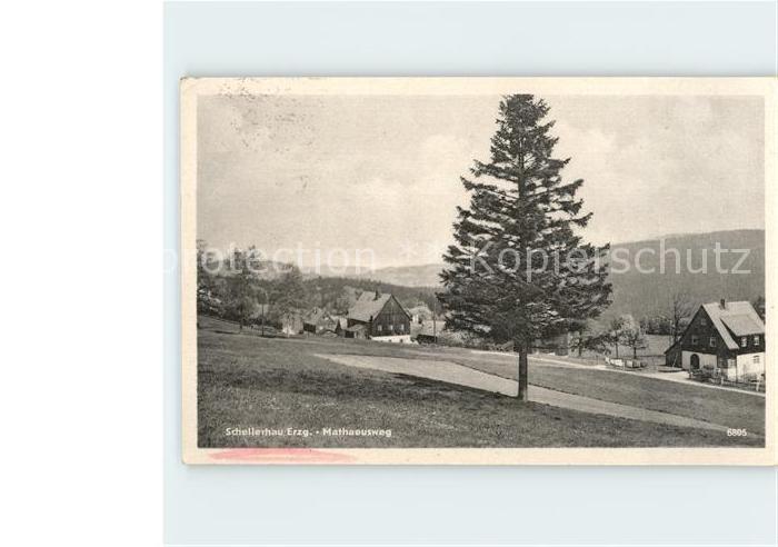 Schellerhau Mathaeusweg