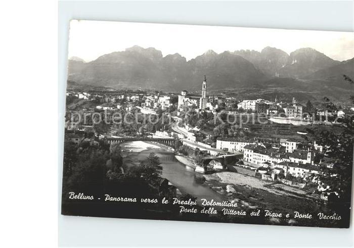 Belluno Panorama verso le Prealpi Dolomitiche Ponte della Vittoria sul Piave e P
