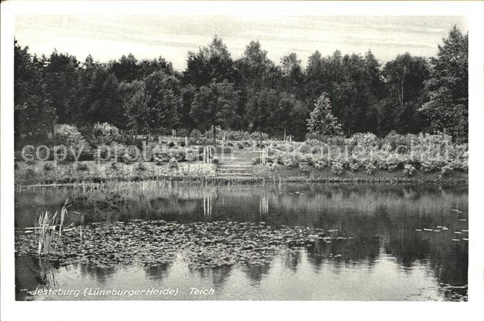 Jesteburg Teich Lueneburger Heide