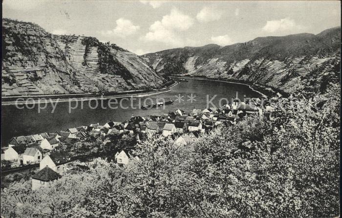 Kestert Rhein in der Kirschenbluete Panorama