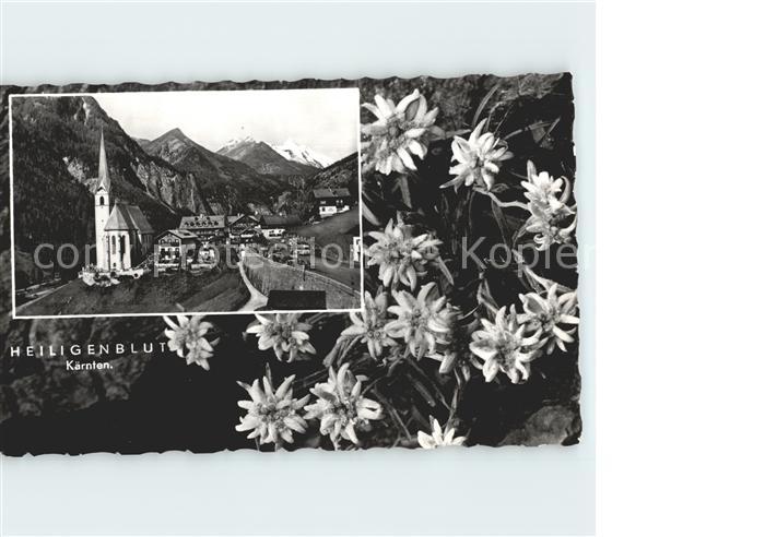 Heiligenblut Kaernten Ortsansicht mit Kirche Edelweiss