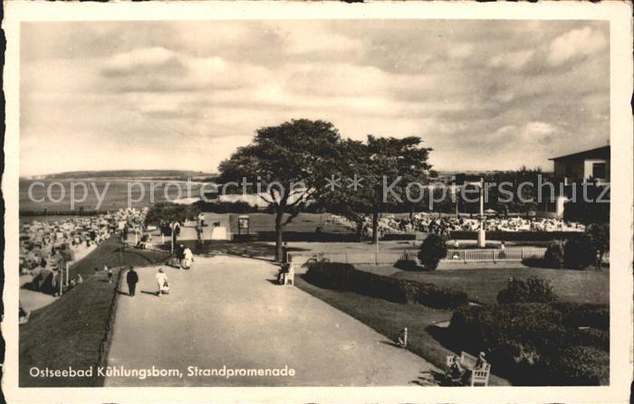 Kuehlungsborn Ostseebad Strandpromenade