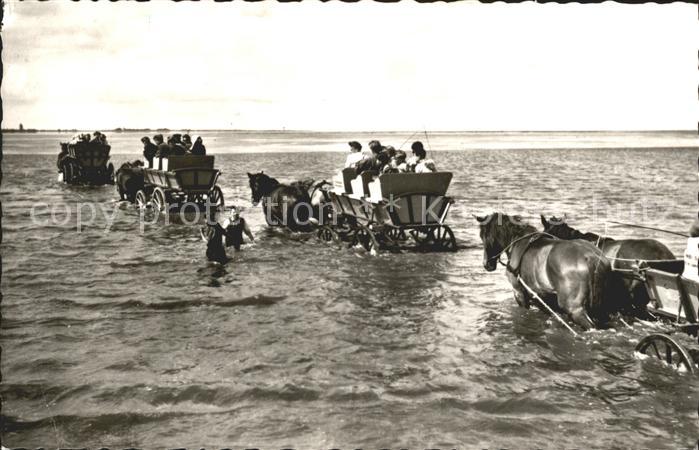 Sahlenburg Wattwagen auf der Fahrt zur Insel Neuwerk