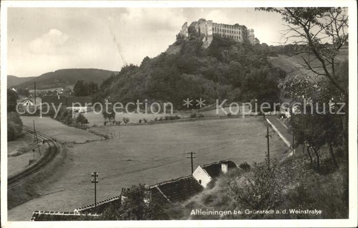 Altleiningen Burgruine