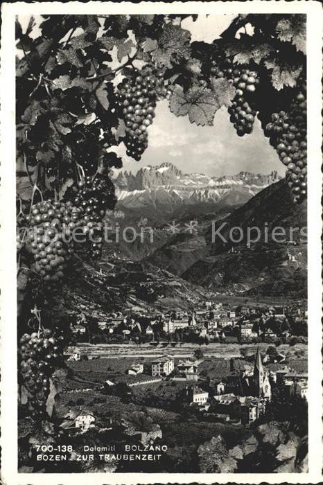Bozen Suedtirol zur Traubenzeit mit Dolomiten