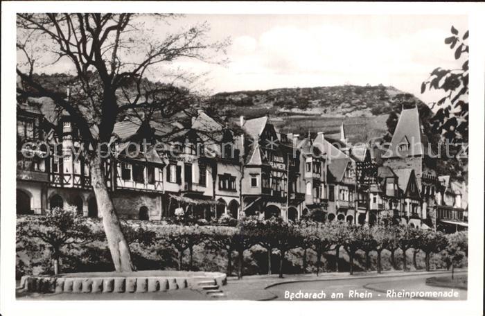 Bacharach Rhein Rheinpromenade