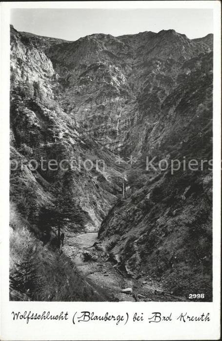 Bad Kreuth Wolfsschlucht Blauberge