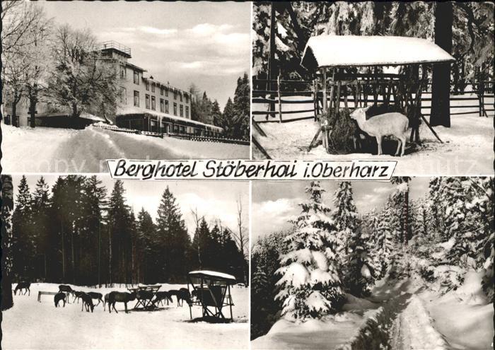 Walkenried Berghotel Stoeberhai Wild