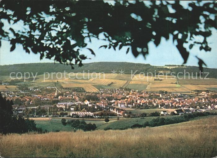 Delligsen Panorama Hilsmulde