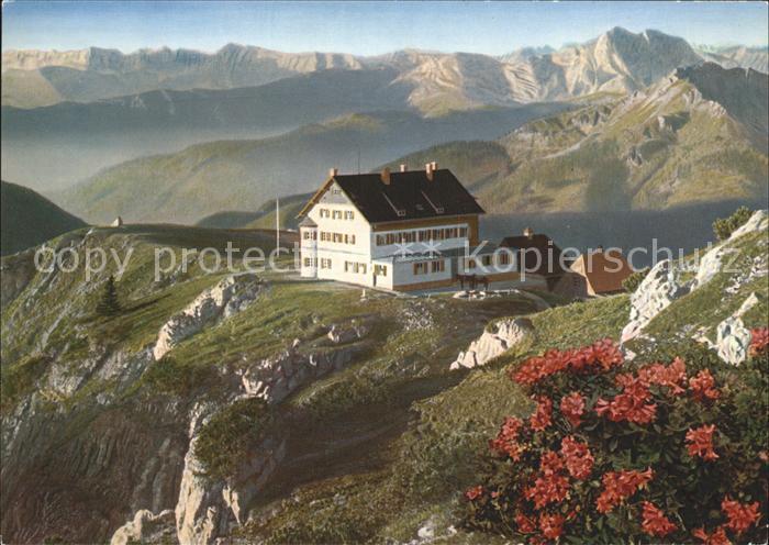 Rotwandhaus gegen Rofan und Guffert Alpenflora Alpenpanorama