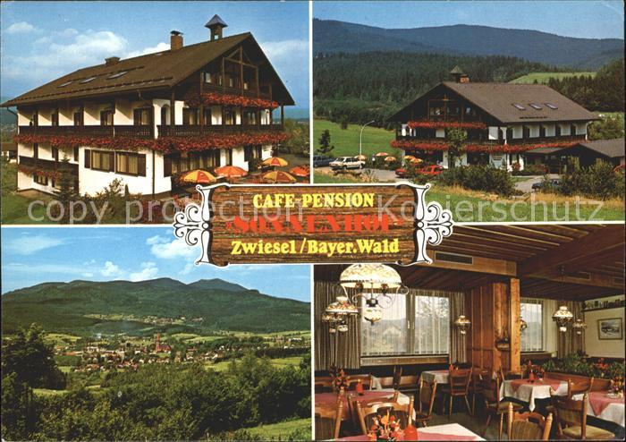 Zwiesel Niederbayern Cafe Pension Sonnenhof Panorama