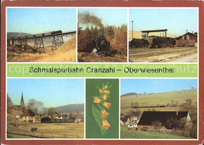 Oberwiesenthal Erzgebirge Schmalspurbahn Cranzahl Viadukt Bergfahrt Kretscham Ro