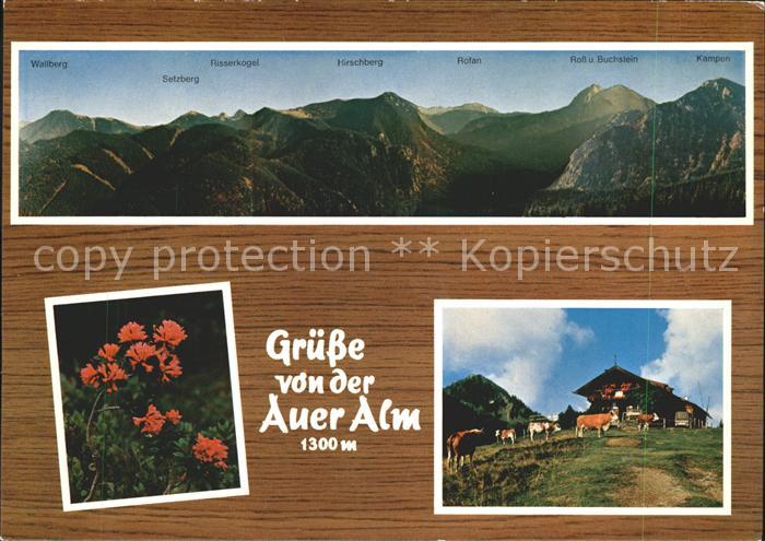 Bad Wiessee Berggasthof Auer Alm Walberg Setzberg Hirschberg Rofan