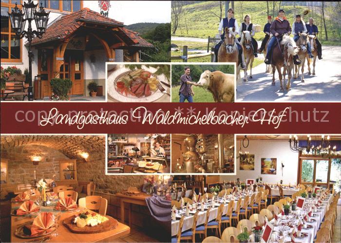 Bessenbach Landgasthaus Waldmichelbachr Hof Pferde Kuh