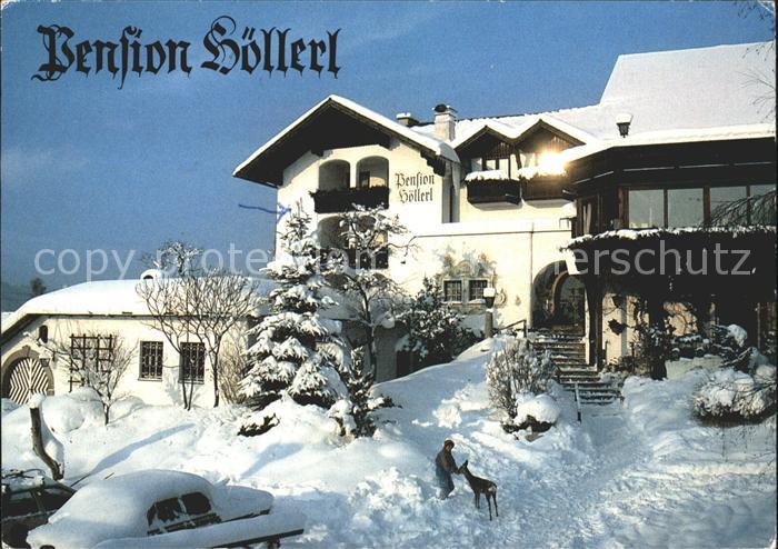 Steinbach Attersee Pension Hoellerl