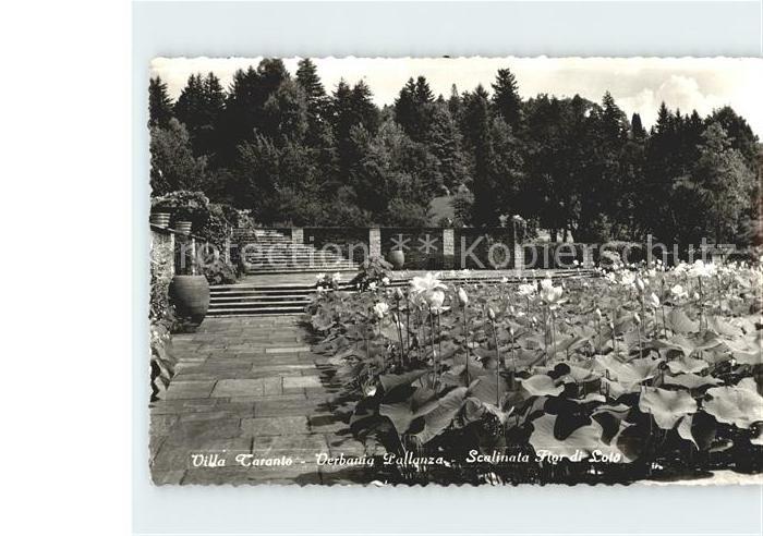 Pallanza Villa Taranto