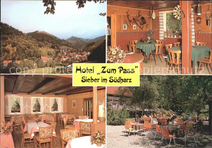Sieber Herzberg am Harz Osterode Niedersachsen Hotel Zum Pass Gastraum Gartenwi
