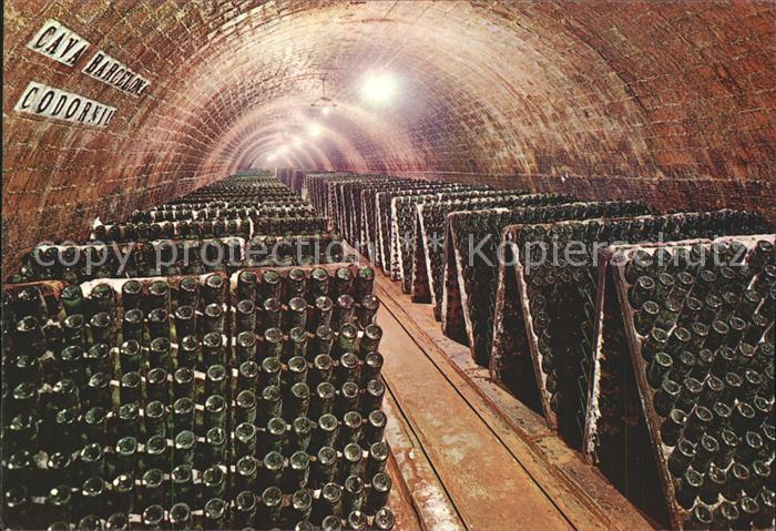 Barcelona Cataluna Cavas Codorniu Botellas en pupitre