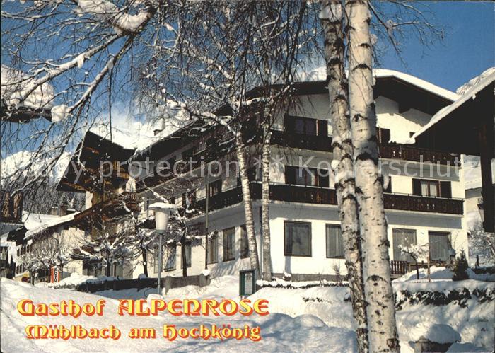 Muehlbach Hochkoenig Gasthaus Alpenrose