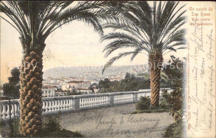 San Remo Vue entre les palmiers