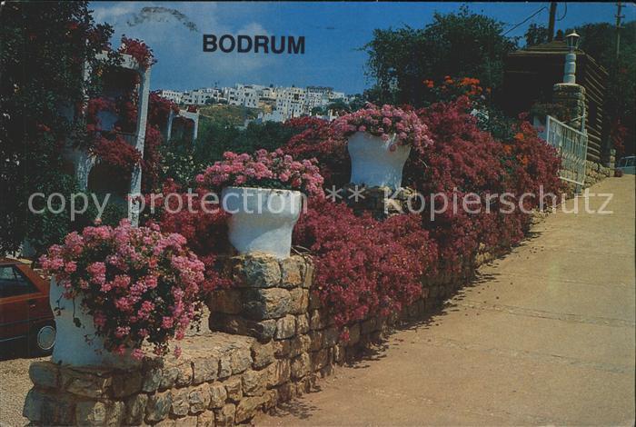 Bodrum