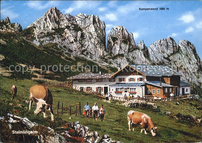 Aschau Chiemgau Steinlingalm Kampenwand Kuehe