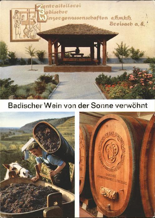 Breisach Rhein Zentralkellerei Badischer Winzergenossenschaft