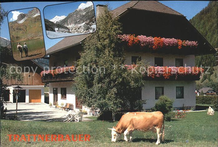Zederhaus Trattnerbauer Kuh