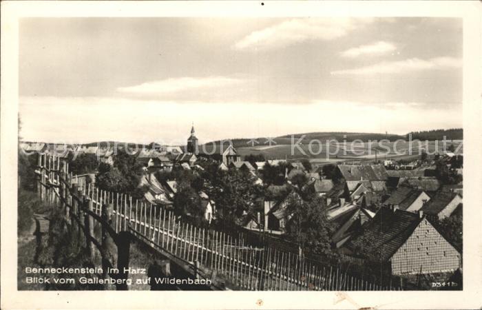 Benneckenstein Blick vom Gallenberg auf Wildenbach