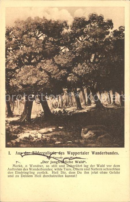 WUPPERTAL NRW Jungfraeulicher Wald aus Bildergalerie Wuppertaler Wanderbund