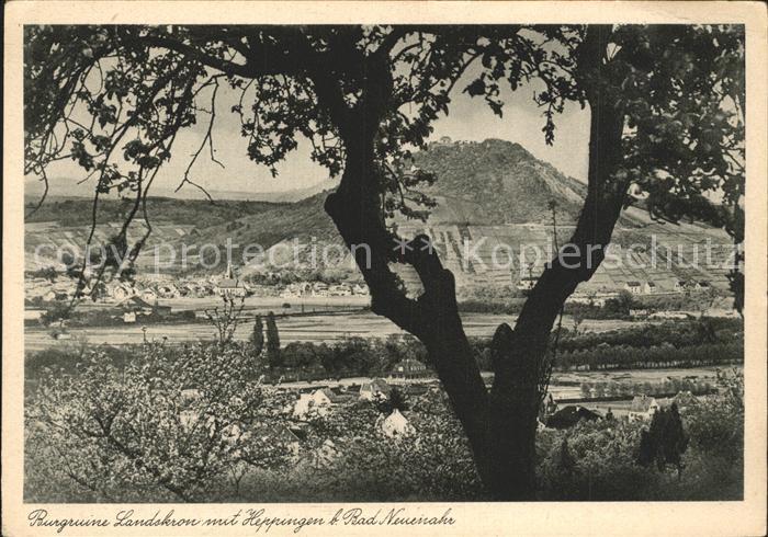 Bad Neuenahr-Ahrweiler Burgruine Landskron mit Heppingen