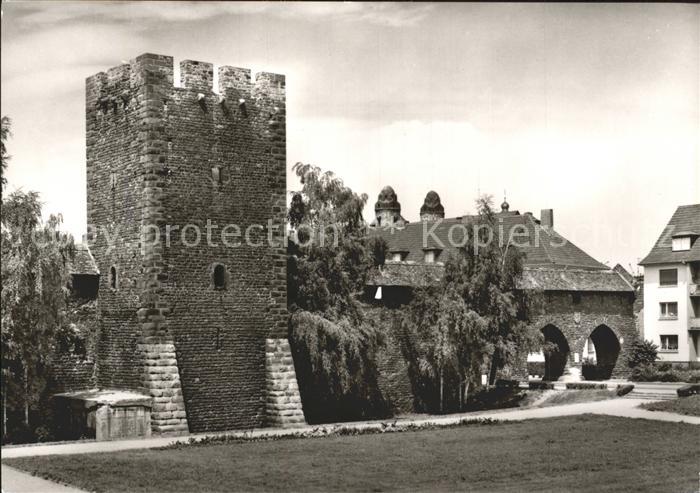 Worms Rhein Stadtmauer