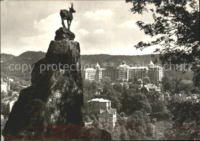 Karlovy Vary Kamzik pod Jelenim skokem