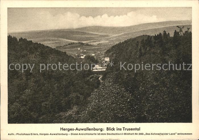Brotterode Herges Auwallenburg Blick ins Trusental