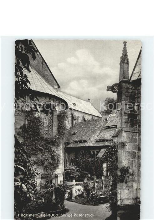 HILDESHEIM  CITY 1000jaehriger Rosenstock