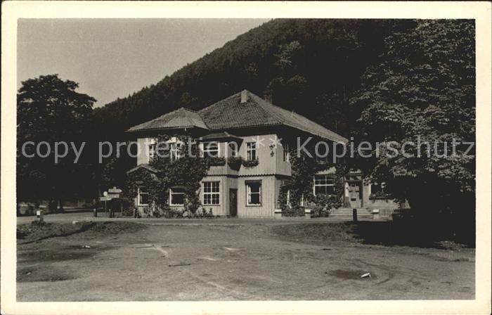 Netzkater Restaurant