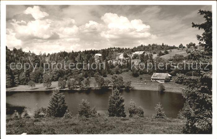 Horbach St Blasien Klostersee