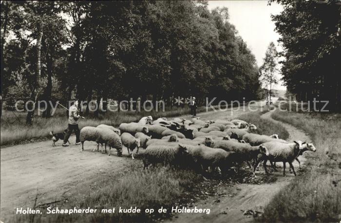 Holten Rijssen Schaapherder Holterberg