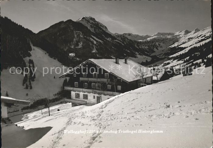 Hinterglemm Saalbach Wallegghof Tristkogel