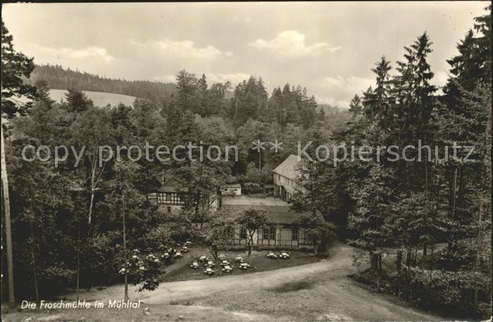 Muehltal Hessen Froschmuehle