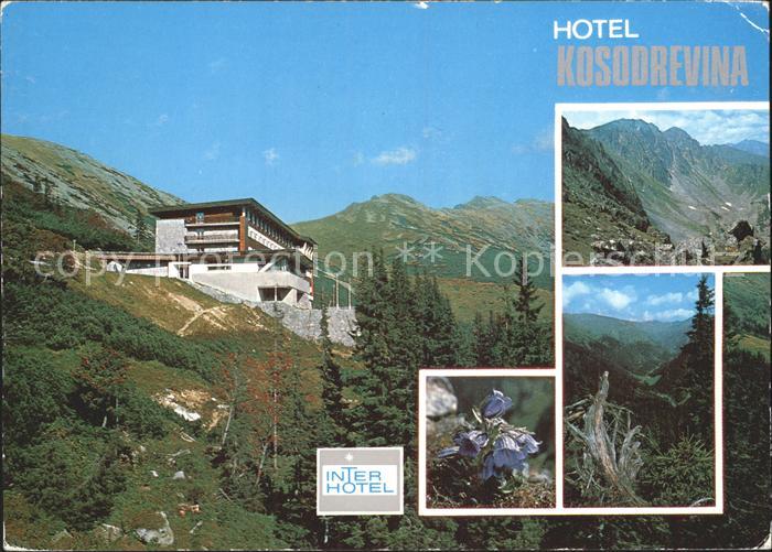 Nizke Tatry Hotel Kosodrevina