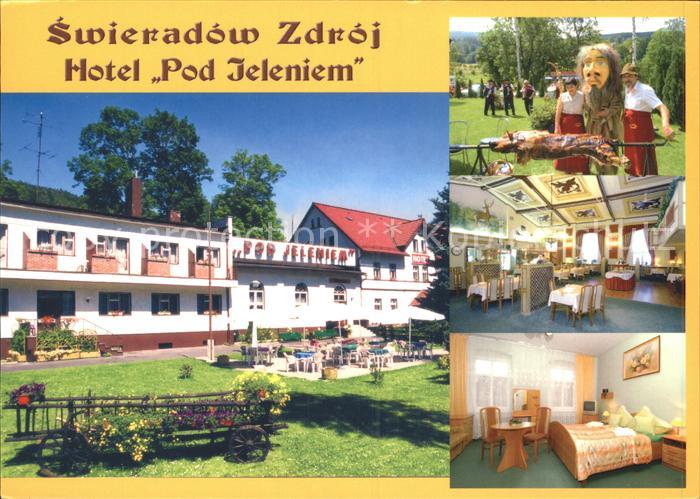 Swieradow Zdroj Bad Flinsberg Hotel Pod Jeleniem Grillplatz Gastraum Zimmer