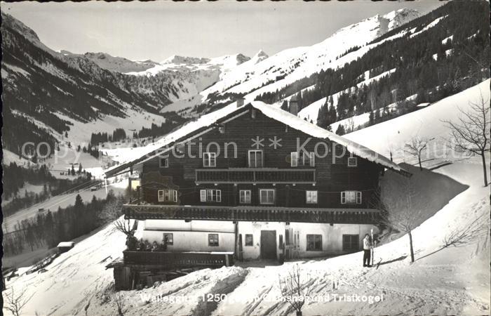 Hinterglemm Saalbach Wallegghof Gamshag Tristkogel
